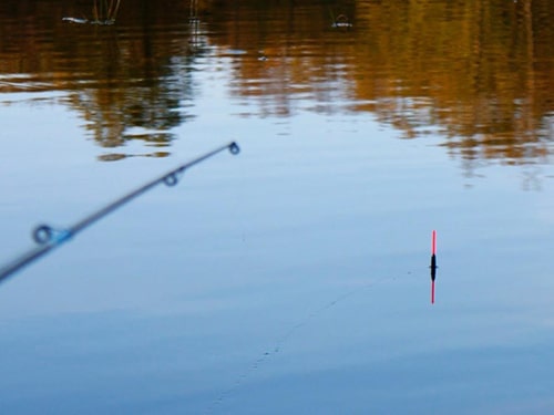 Отдых на озере Балхаш